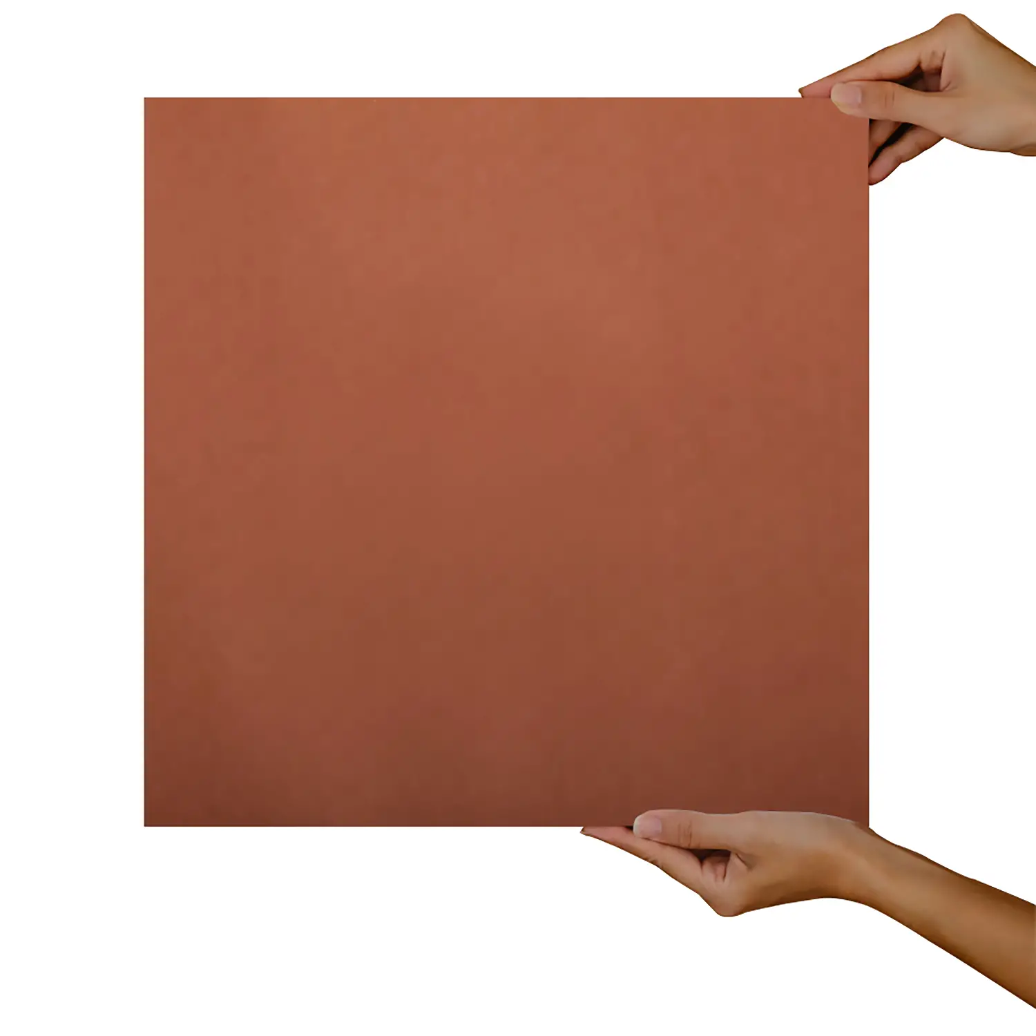 Carta Velina Marrone - 24 Fogli 50x70 cm - Carta e cartoncino