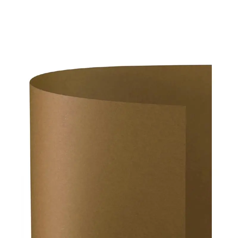 Cartoncino Bristol Liscio 200 gr - 10 Fogli 70x100 cm - Cacao - Carta e cartoncino