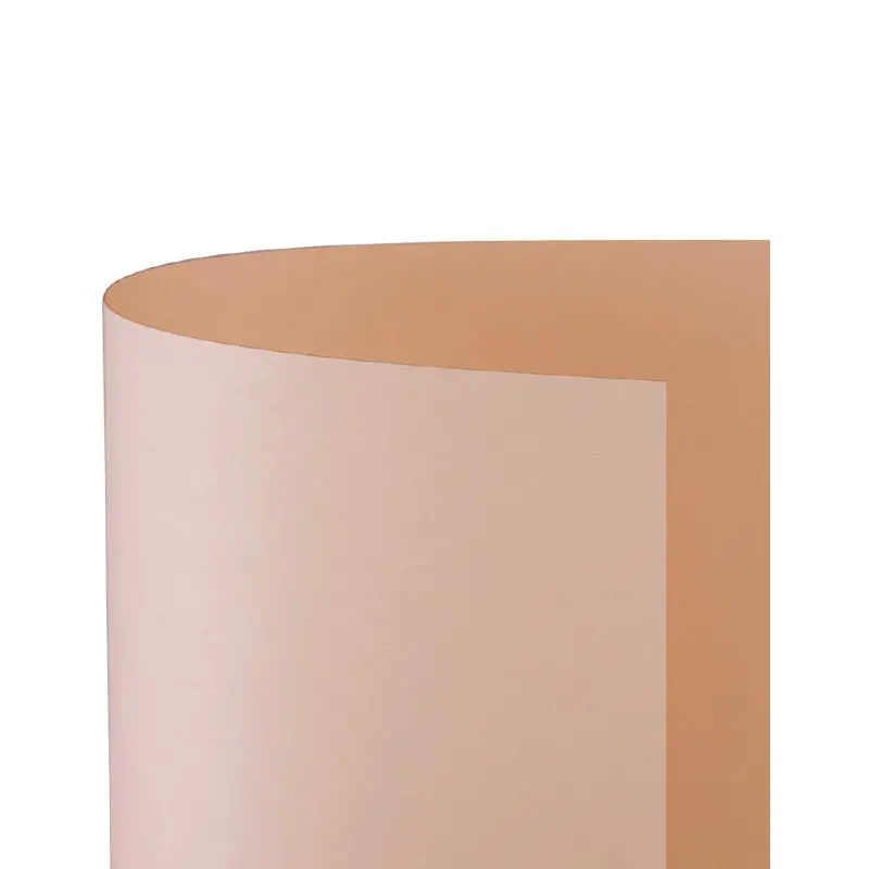 Cartoncino Bristol Liscio 200 gr - 10 Fogli 70x100 cm - Salmone - Carta e cartoncino