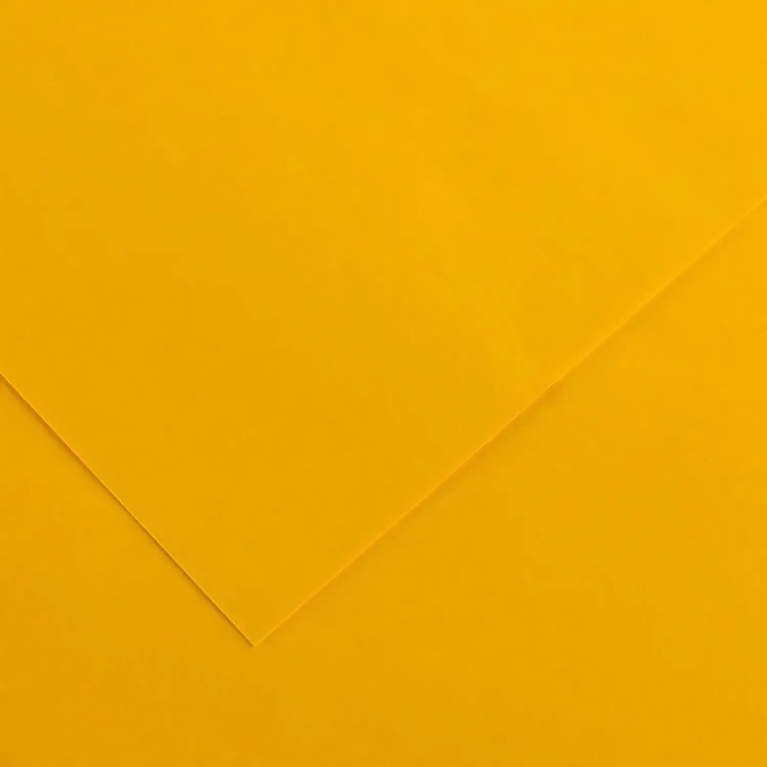 Cartoncino Vivaldi Canson 185 g/m² - 50 Fogli A3 Giallo Oro - Carta e cartoncino