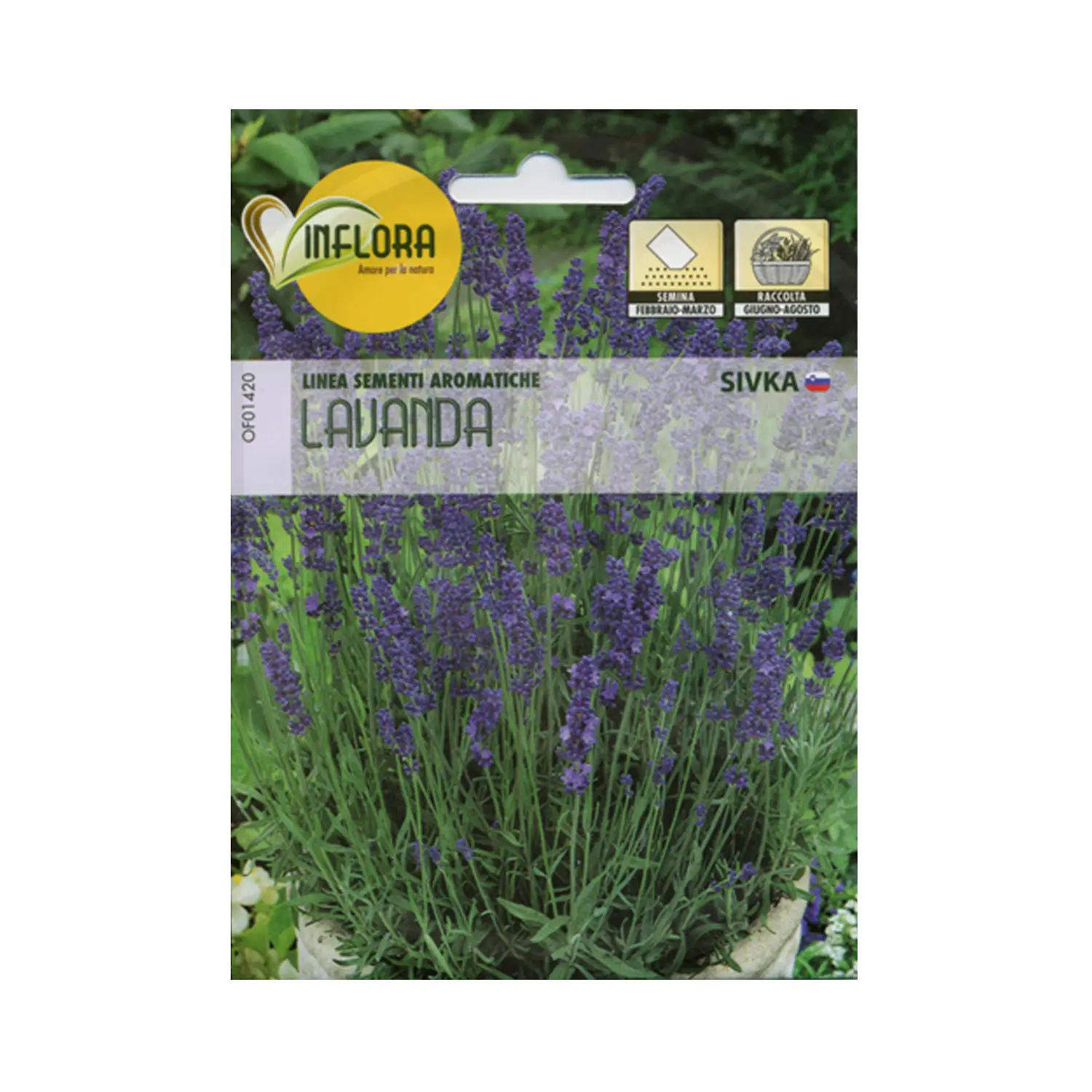 Semi per Fiori – Lavanda - Giochi acqua e sabbia