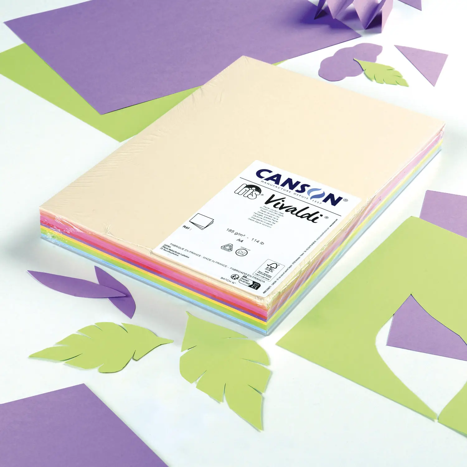 Cartoncino Vivaldi Canson Iris A4 185 g/m² - 120 Fogli Colori Pastello Assortiti - Carta e cartoncino