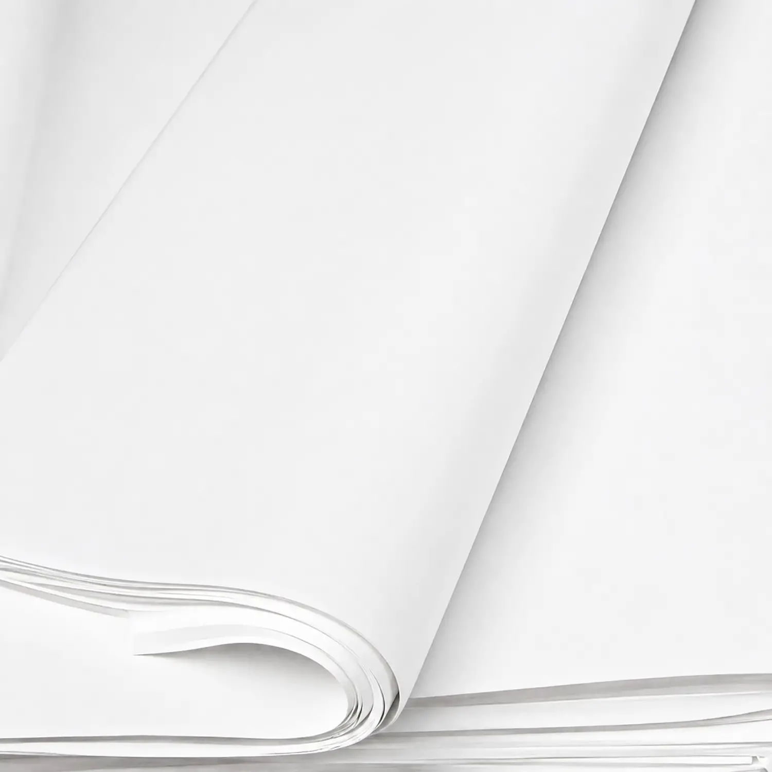 Carta da Disegno Bianca Monolucida 80 g – Confezione 1 Kg - Carta e cartoncino