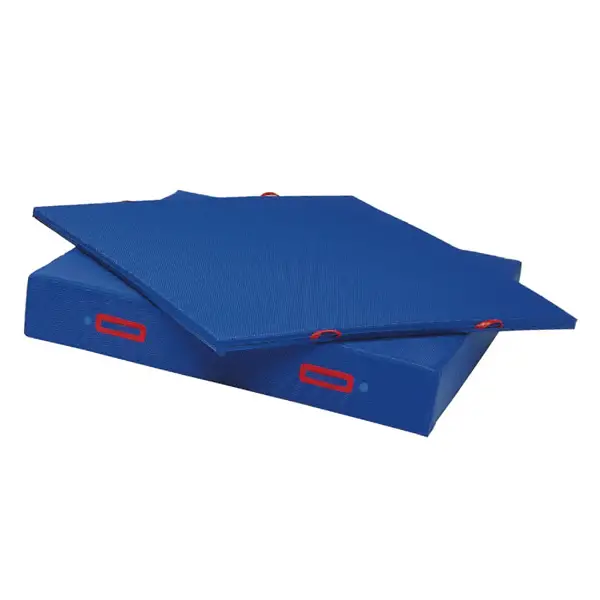 Materasso Ginnico Antisdrucciolo 120x200x20 cm – Professionale per Scuole - Angoli gioco e relax