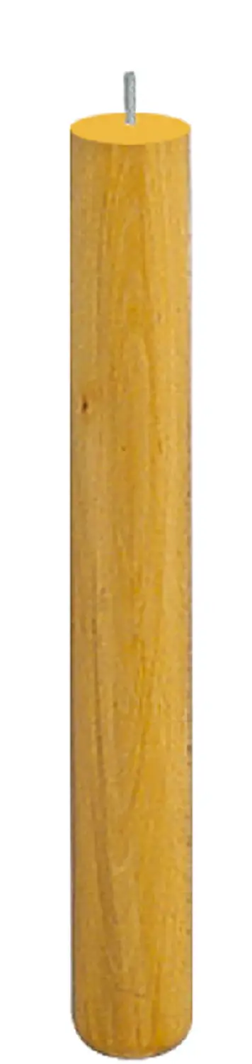 Gamba Faggio per Scuola Primaria H 56 cm. - Cattedre e tavoli lavoro