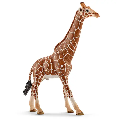 Schleich Giraffa Maschio - Miniatura Realistica in Resina - Animali
