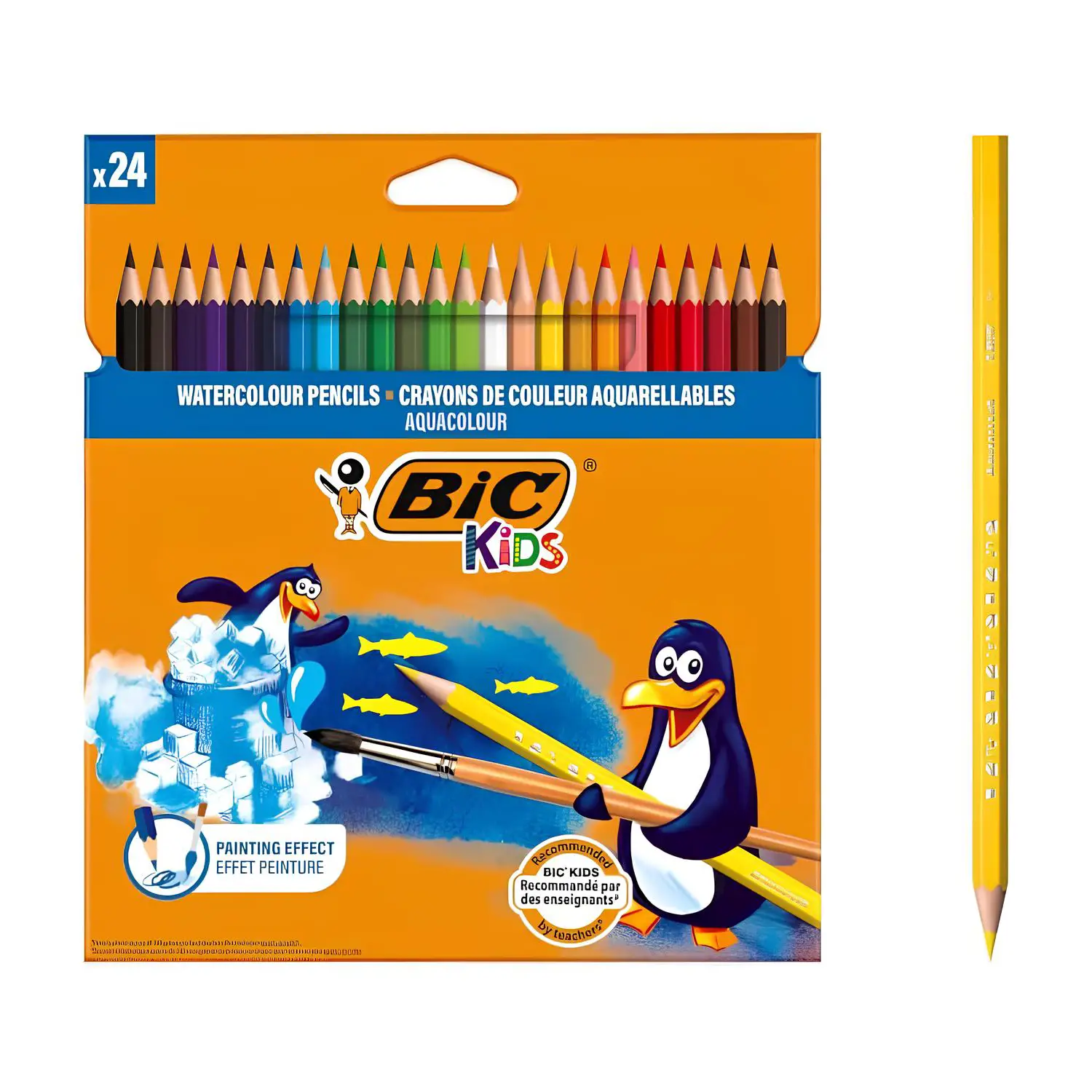 Pastelli Acquerellabili Bic Kids Aquacouleur 24 Colori - Pastelli
