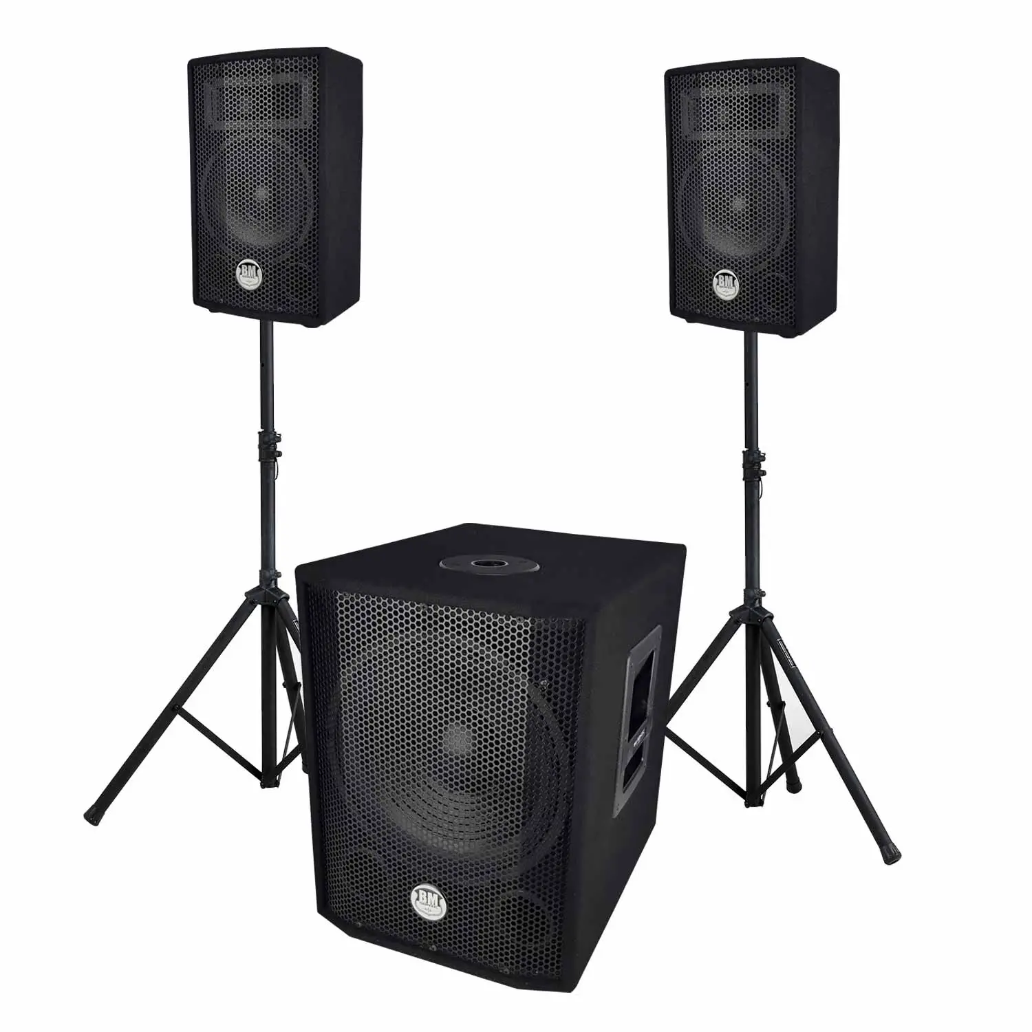 Sistema di Amplificazione da 1000W con 2 Satelliti, Subwoofer, Treppedi, Custodia - Sistemi audio