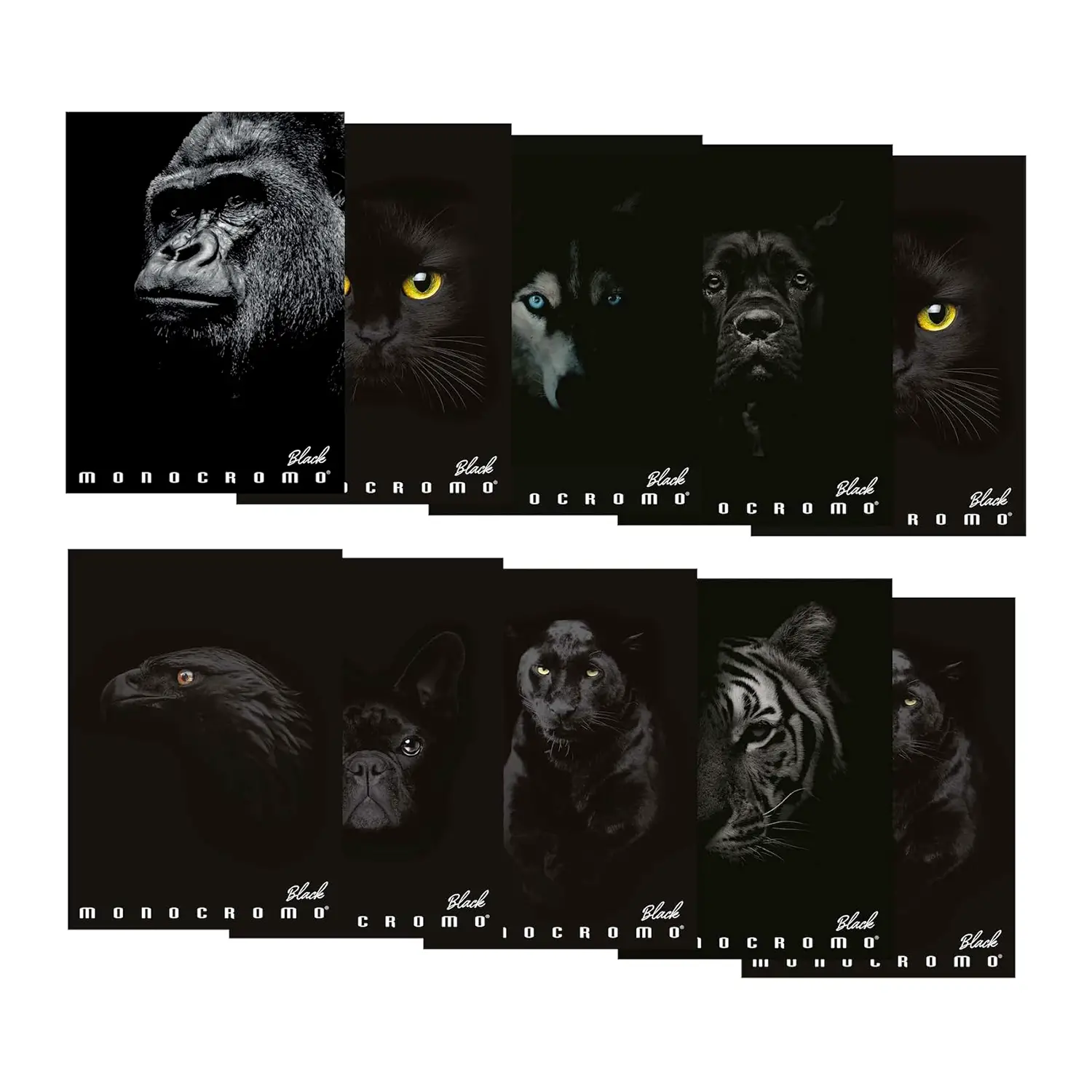 Quaderno Maxi Pigna Monocromo Black - 72 Pagine - Rigatura 1R - Cancelleria varia