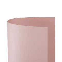 Cartoncino Bristol Liscio 200 gr - 25 Fogli 50x70 cm - Rosa