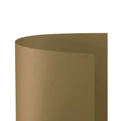 Cartoncino Bristol Liscio 200 gr - 25 Fogli 50x70 cm - Camoscio