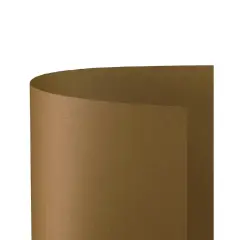 Cartoncino Bristol Liscio 200 gr - 10 Fogli 70x100 cm - Cacao