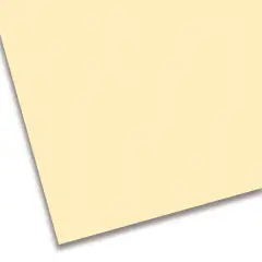 Cartoncino Colorato Premium Liscio cm. 50x70 Panna
