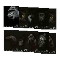 Quaderno Maxi Pigna Monocromo Black - 72 Pagine - Rigatura 5M